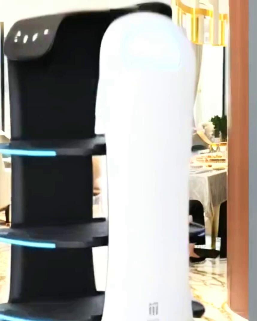 Sensus Intelligence - video tech agencia IA - Robot Bellabot